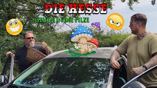 Die Hesse und ideales Pilzewetter diehesse comedy pilsesammeln [upl. by Dedrick894]