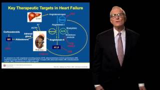 Evolving Pathophysiology of Heart Failure [upl. by Pack]