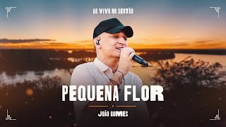 PEQUENA FLOR  João Gomes Ao Vivo no Sertão [upl. by Nitaf]