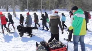 Bradens Hot Chocolate Festival Snowshoe Tours with Adventure Attic [upl. by Doroteya]