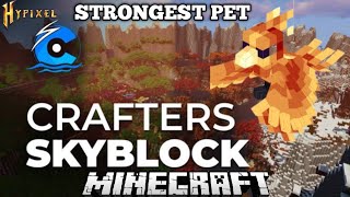 WAYS TO GET PHOENIX PET IN CRAFTERSMC SKYBLOCK SERVER craftersmc hypixal frostnetwork minecraft [upl. by Eicrad]