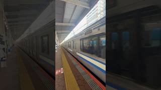 E217系 JR総武快速線 錦糸町駅 JR Sobu Line Rapid [upl. by Pavlish]