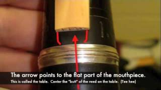 Clarinet Reed Placement [upl. by Xonnel143]