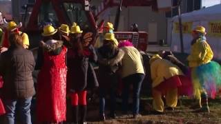 100 villes 100 défis  Pavie et la confection de la stère de bois [upl. by Codie]