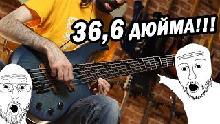 Обзор INT Dingwall Custom Bass [upl. by Swanson479]