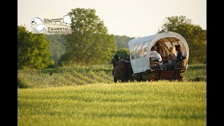 Wanderfahren  unterwegs mit Pferd und Wagen [upl. by Nadeen943]