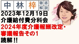 【中林梓】梓の勝手な独り言（2024年度介護報酬改定・審議報告その1） [upl. by Ecirad]