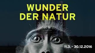 WUNDER DER NATUR  im Gasometer Oberhausen bis 30 Dezember 2016 [upl. by Serene]