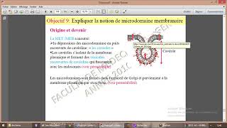 Microdomaine lipidique Raft radeau lipidique [upl. by Norabal615]