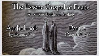 The Essene Gospel of Peace  Audiobook  Book One Part 2 of 2 [upl. by Odnalref]