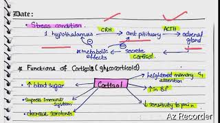 Cortical Hormones  Aldosterone  cortison  hyper and hypoaldosteronism [upl. by Ainedrag]