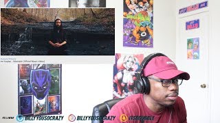 Avi Kaplan  Otherside Official Music Video REACTION THIS MAN LOVES TO BE OUTSIDE [upl. by Eilyab]