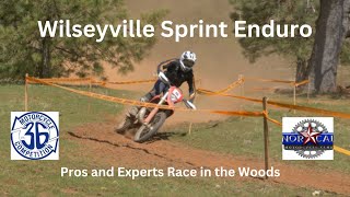 Wilseyville Sprint Enduro Pro and Expert race Ferderer 🥇 Baker 🥈and Campbell 🥉 score big [upl. by Clay]