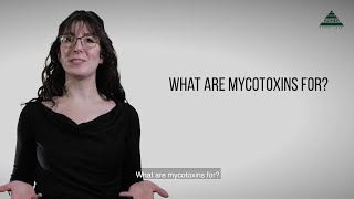 Mycotoxin Minute 73  What are mycotoxins for [upl. by Hilbert811]