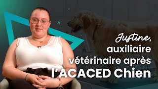 Ma reconversion en tant quassistante vétérinaire [upl. by Salaidh]