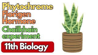 Understanding phytochrome types Florigen hormone and chailakhain experiment on short days plants [upl. by Fabria]