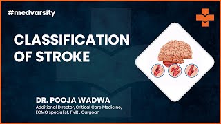 Classification of Stroke  Medical Case Discussion [upl. by Annahtur]