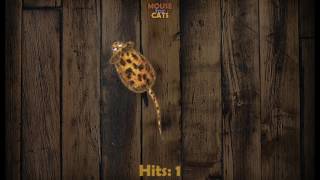 Video for Cats  Mouse for Cats iPad game for cats app [upl. by Auoz603]