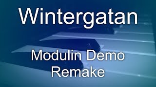 Wintergatan  Modulin Demo Remake [upl. by Jarib]