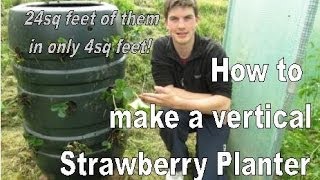 How to Build a Vertical Strawberry Tower  24 Plants in 4sq Feet [upl. by Ysabel697]