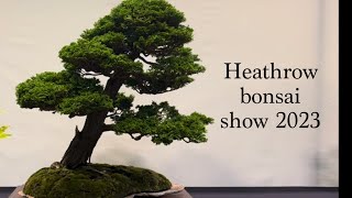 Heathrow bonsai show 2023 japan heathrowbonsaishow bonsai [upl. by Aztiray]