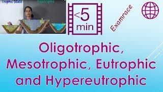 Trophic State Oligotrophic Mesotrophic Eutrophic and Hypereutrophic [upl. by Diao385]