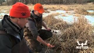 How to Trap Beaver and Muskrat with Steven Rinella  MeatEater [upl. by Kahle]