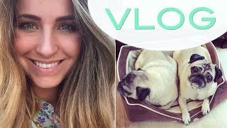 VLOG  Neues Ombre Hair SOMBRE  Miamops Matiemops [upl. by Ahtinak]