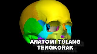 Anatomi tulang tengkorak [upl. by Skipper]