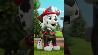 PAW Patrol  ¡Marshall ayuda a Mix a extinguir un incendio Shorts [upl. by Laehcym]