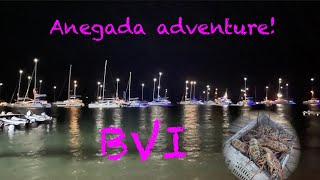 Anegada British Virgin Islands Adventure with Moke Drama [upl. by Anilrac820]