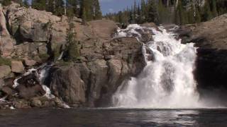 Yosemite Nature Notes  7  Tuolumne River [upl. by Jobyna]