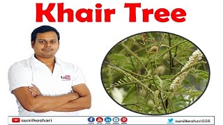 Which Khair Tree is Best  Senegalia Catechu [upl. by Pond941]