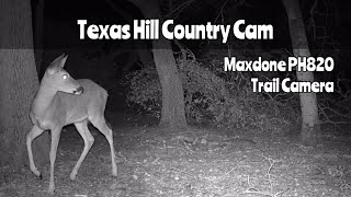 Texas Hill Country Maxdone PH820 Trail Camera Jan 1629 2024 [upl. by Bocoj345]