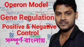 Lac Operon ল্যাক ওপেরন  Bengali  Gene Regulation  Positive and Negative Control [upl. by Yatnoj198]