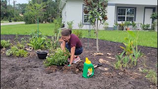 Perennials for my Sunshine Garden [upl. by Nathalie]