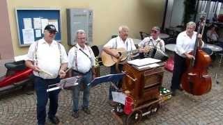 Festival dorgues de barbarie et limonaire Waldkirch 2014 version longue 34min [upl. by Adien]