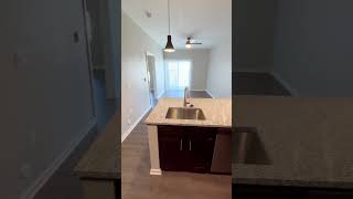 965 Flats Coralville IA  A1 Video Tour Dark Finish [upl. by Weixel]