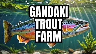 GANDAKI TROUT FARM  TROUT FARM GANDAKI RAINBOW TROUT FARM [upl. by Yenial]