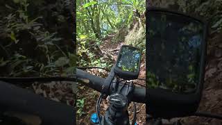 Ciclismo de Montaña Trillos Increíbles y Naturaleza Pura mtb ciclismo ebike pedaleando [upl. by Atileda]