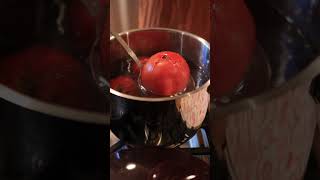 PEEL Tomatoes in SECONDS with This Simple Trick organicgardener gardening canningandpreserving [upl. by Wait]