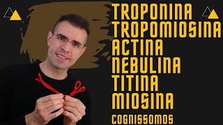 🙋‍♂️✊Actina Miosina Tropomiosina Troponina Titina [upl. by Olonam]