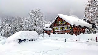 Heavy snowfall in Klosters ❄️ Switzerland 4K 🇨🇭 [upl. by Nywde840]