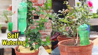 Self Watering System For Any Plants Using Waste Plastic Bottle [upl. by Inattirb]