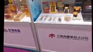 Canton Fair October 2016  Phase 3  Guangzhou China [upl. by Eneleh]