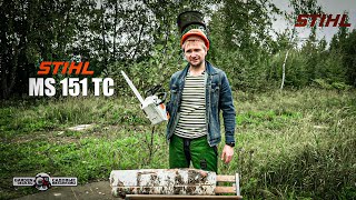 Бензопила сучкорез одноручная STIHL MS 151 TCE с шиной 12quot 30 см [upl. by Bria315]