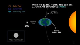 How do Ocean Tides Form Predict the Next Tide like a Pro [upl. by Seedman]