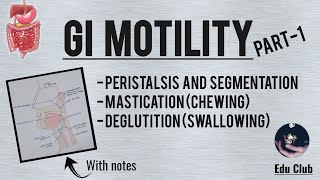 GI Motility Part  1  Chewing Reflex  Deglutition  Gastrointestinal Physiology [upl. by Nosrettap]