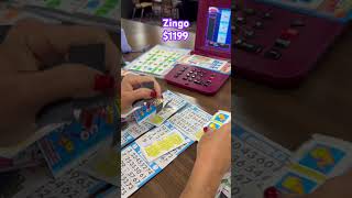 Bingo time Asmr 1200 Game Zingo tab bingoplayers bingo bingogames bingogame money [upl. by Mcintosh]