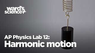 AP Physics Lab 12 Harmonic Motion in a Spring [upl. by Anzovin655]